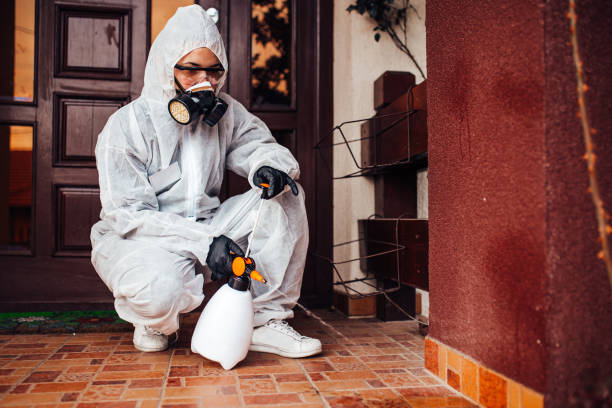 Reliable Ant Control contractor in Winter Beach, FL by Nex Pest Control